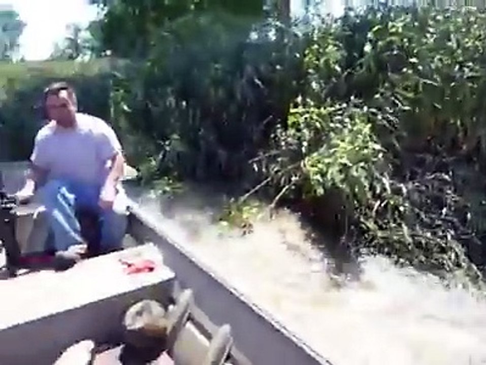 کیا آپ نے کبھی ایسا منظر بہلے دیکھا ہے ۔۔ مچھلیاں ہی مچھلیاں