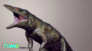 Carolina butcher: upright walking crocodile fossil discovered in North Carolina