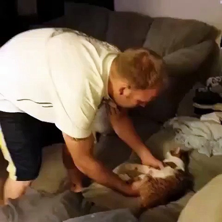 Cat Rifle