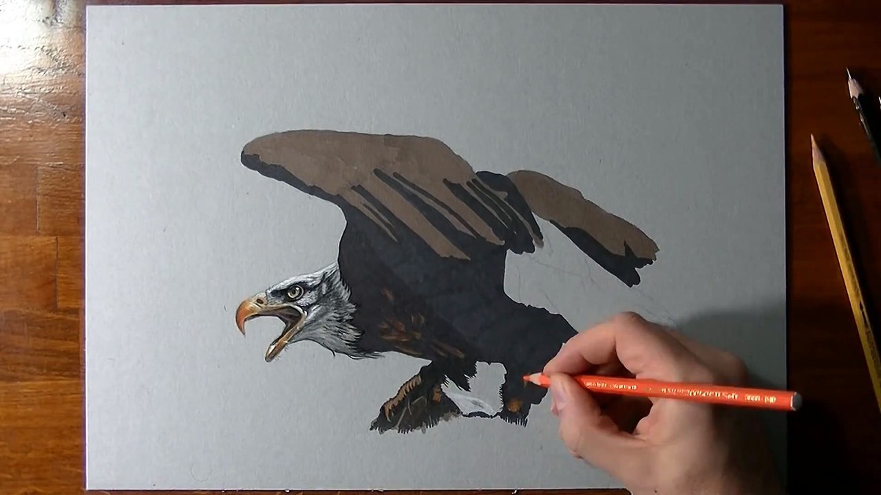 How I draw an eagle