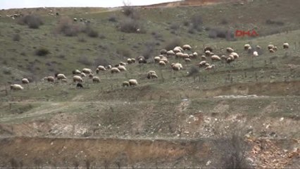 Tokat Köylülerden ?evlilik Hatıra Ormanı? Tepkisi