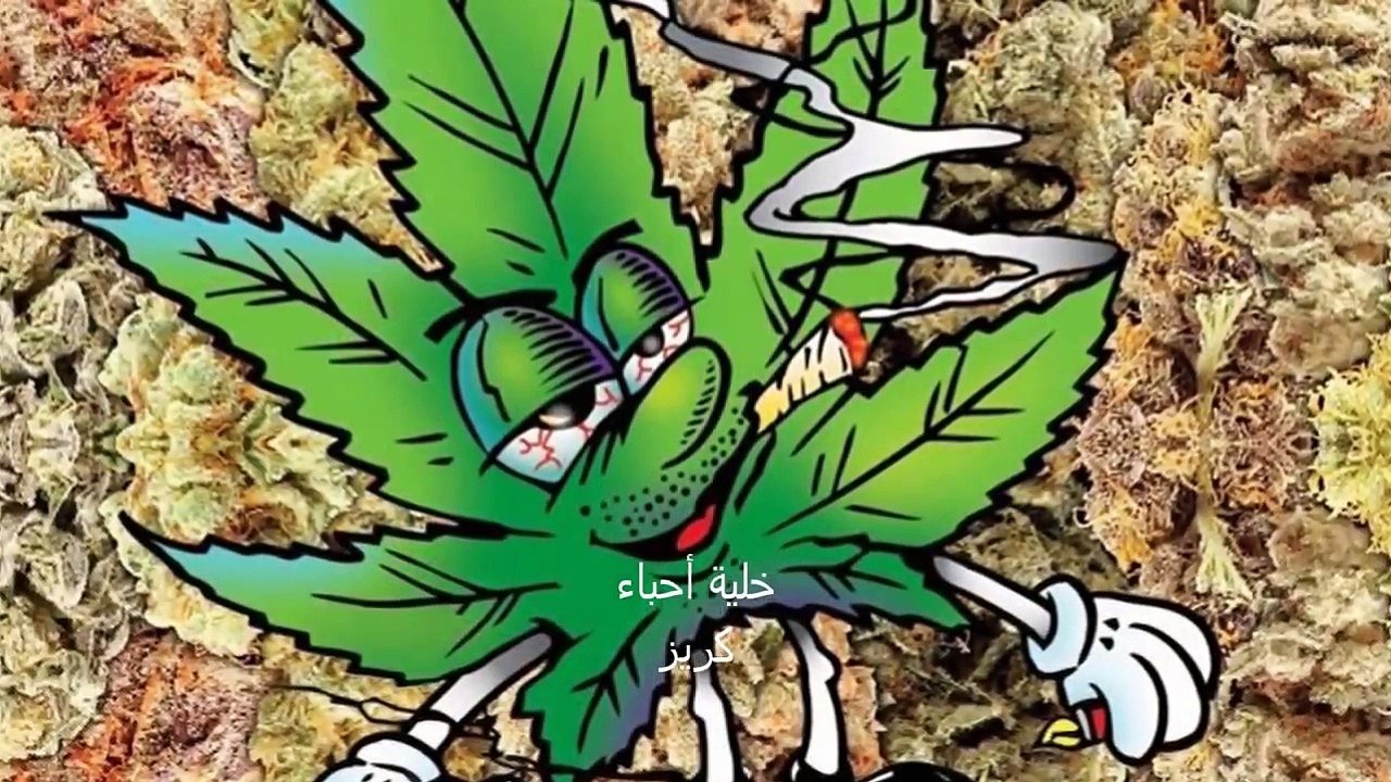 Kafon Maa3zati RAP TUNISIEN