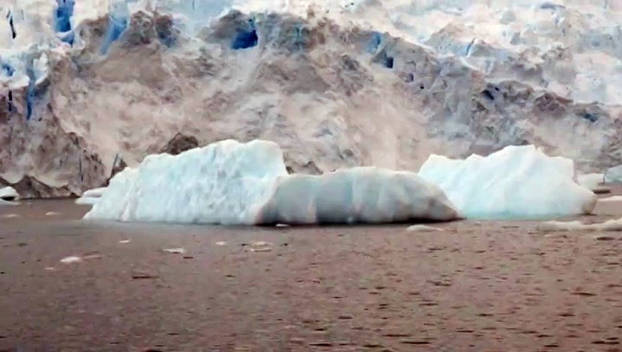 Cierva Cove, janvier 2015