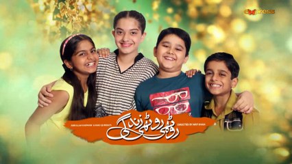 Roothi Roothi Zindagi (Episode 29)