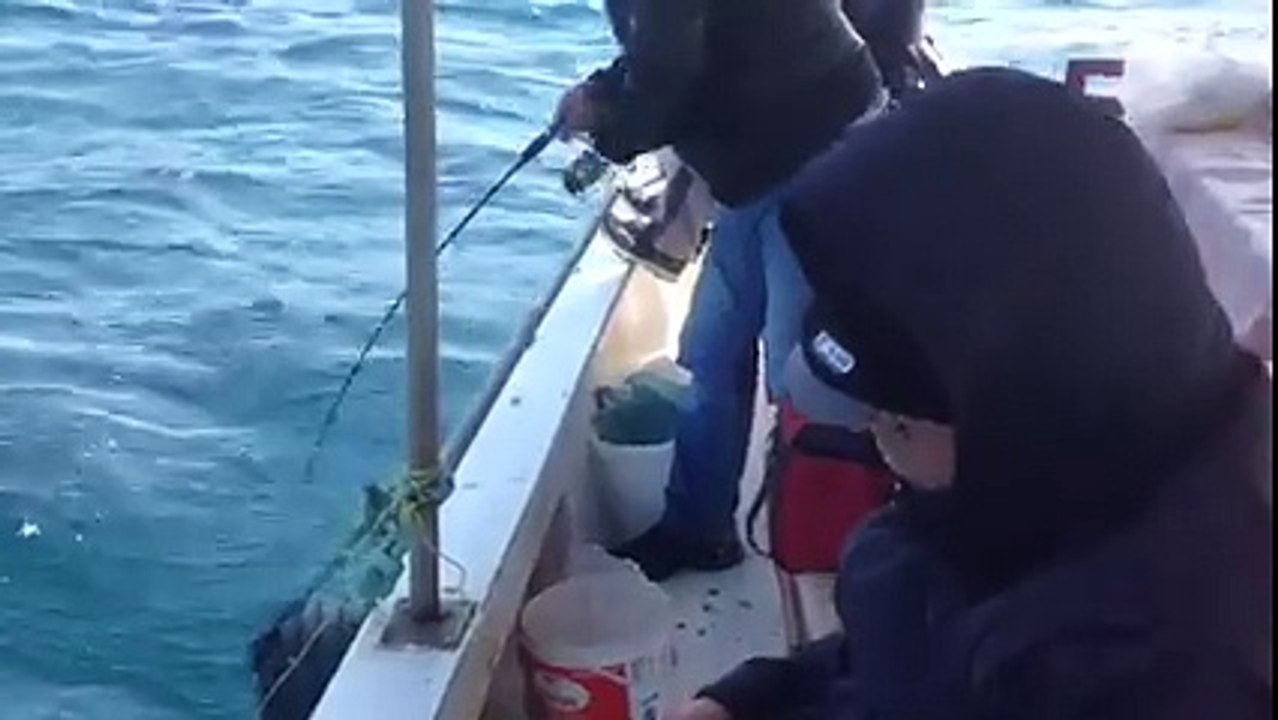 süleyman