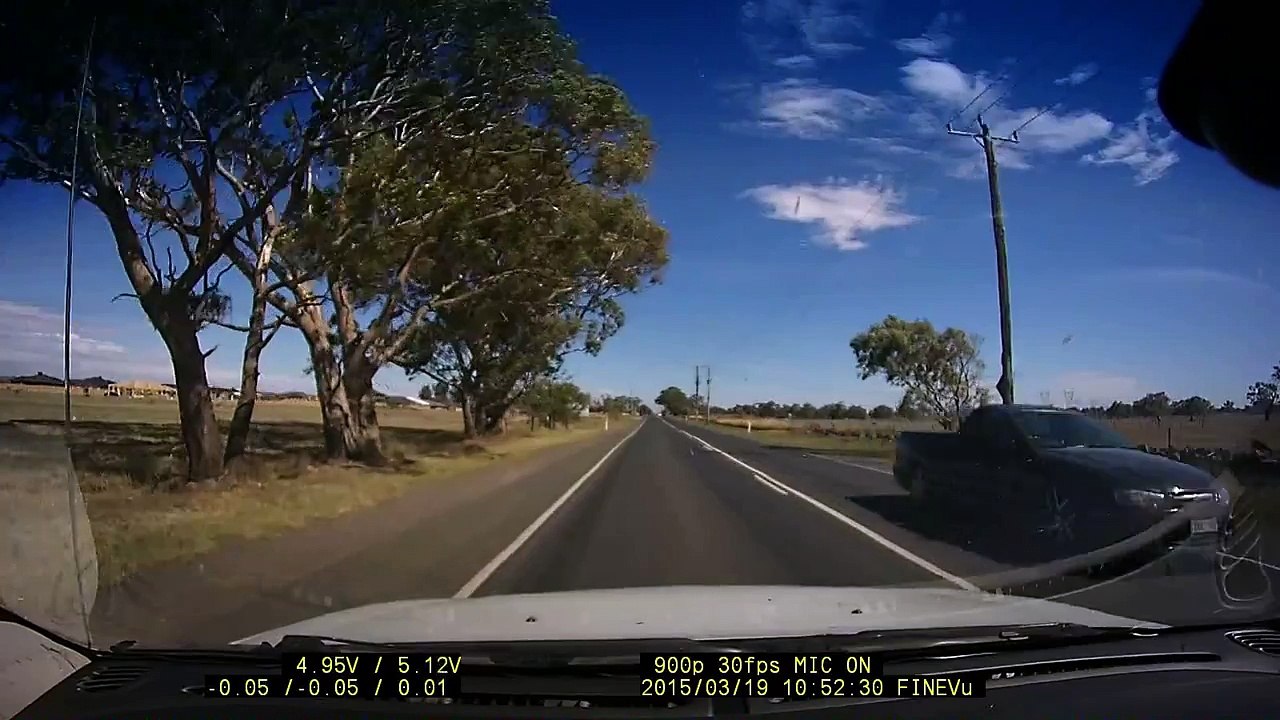 Australian Animal Crossing