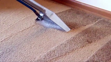 Carpet Cleaning Miami