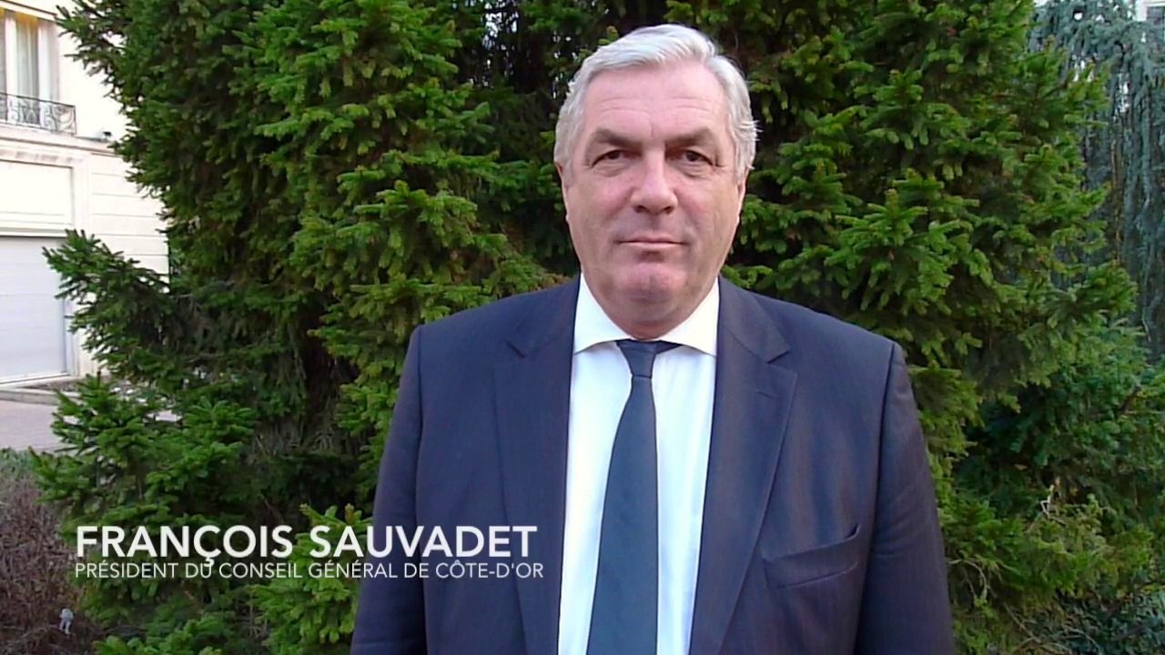 Elections départementales 2015