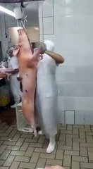 Qui vous a dit que les brésiliens dansent toujours la samba ?