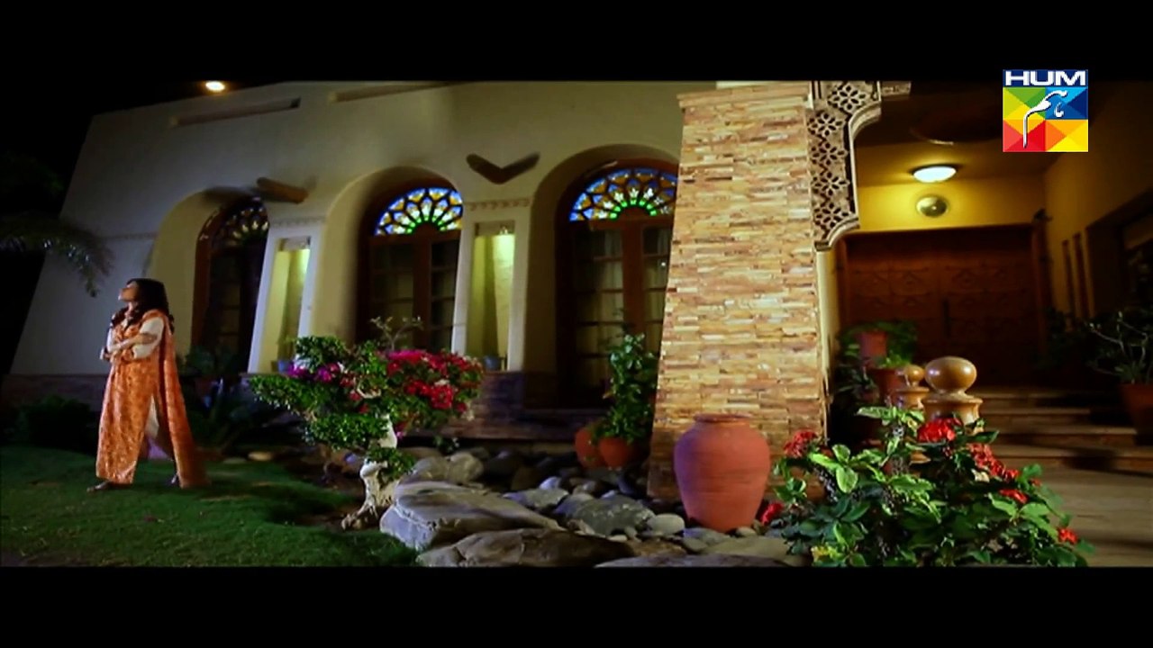 Zindagi Tum Ho Episode 14 Full HUM TV Drama Mar 20, 2015