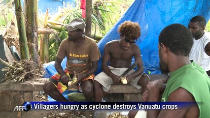 Villagers hungry as cyclone destroys Vanuatu crops