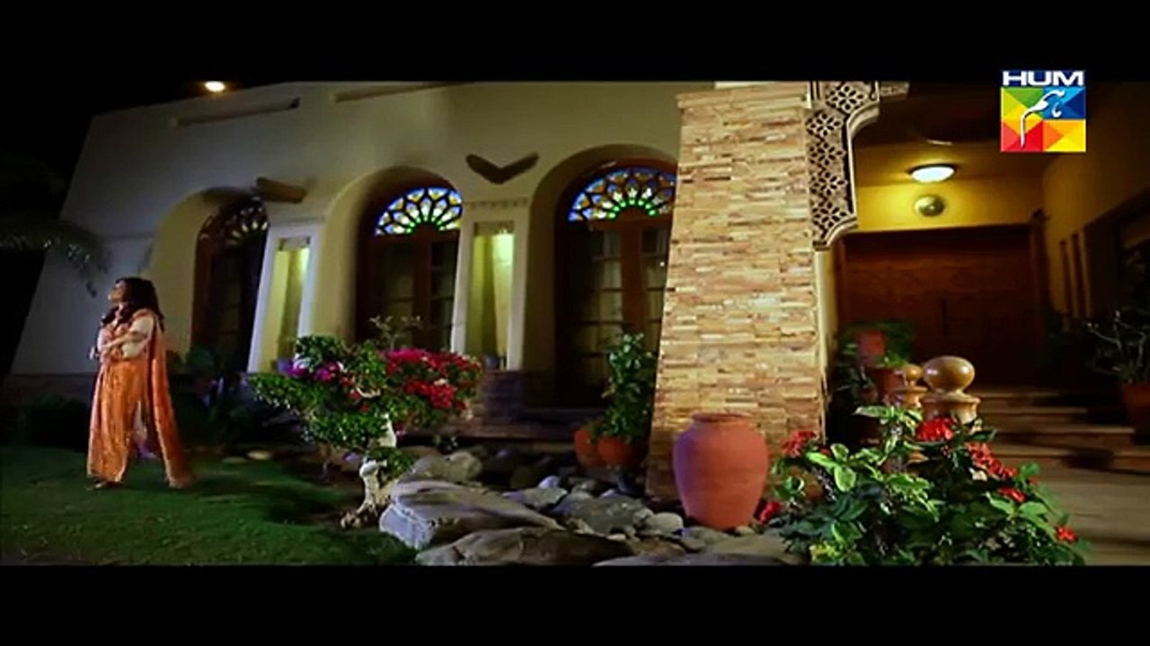 Zindagi Tum Ho Episode 14 Full on HUM TV - 20 March