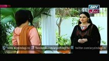 Bahu Begum Ep - 124 - 20th March 2015