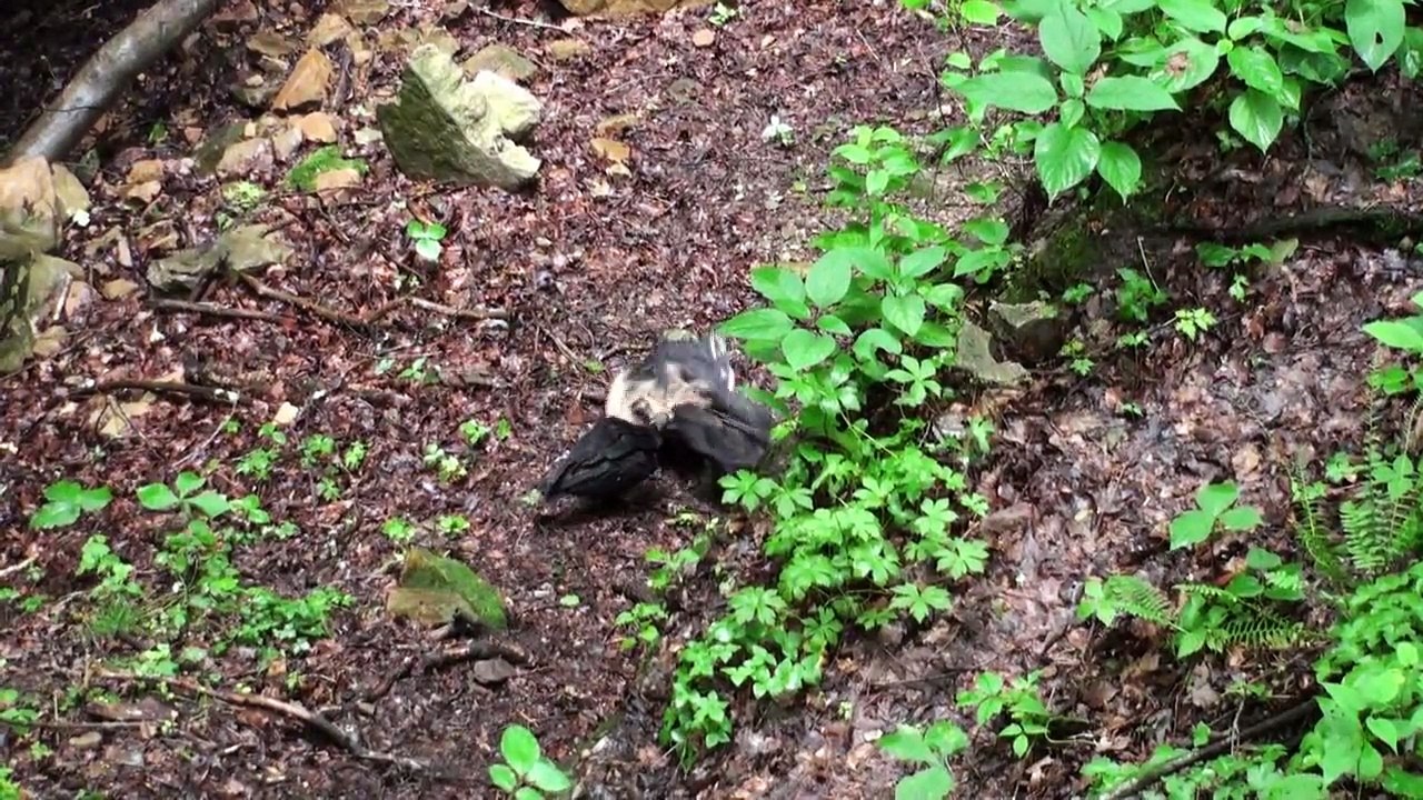 Extreme Caving in the Longest Caves on Earth