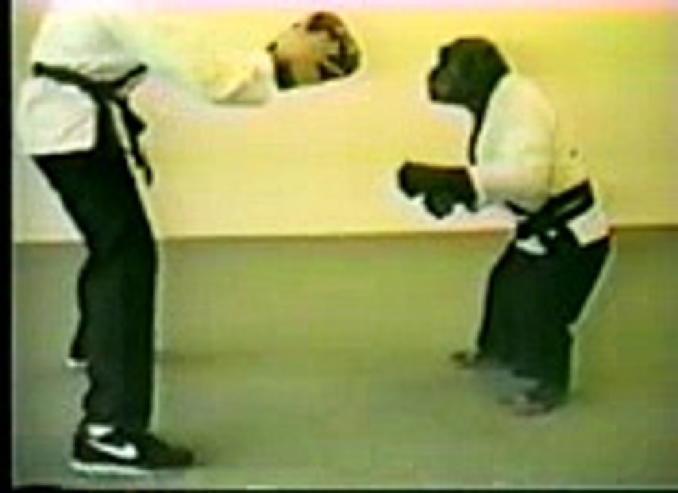 karate monkey real