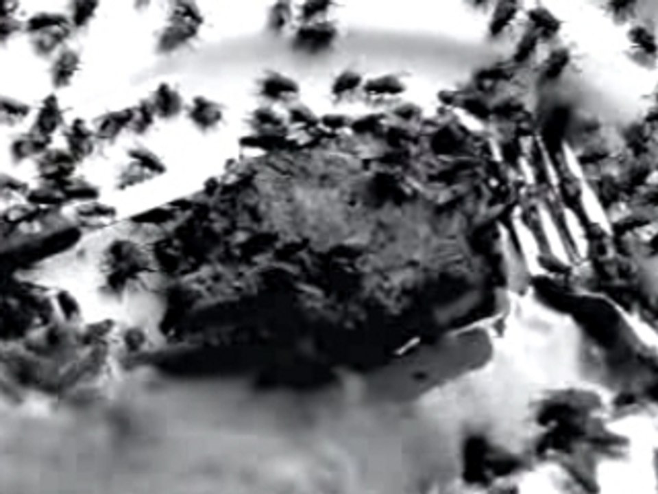 Nine Inch Nails - Help Me I Am in Hell