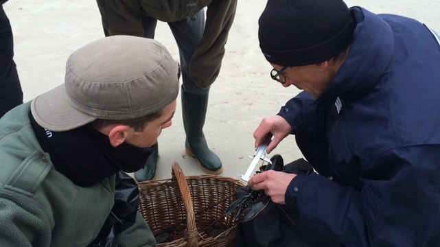 Contrôle des Affaires maritimes au retour de pêche
