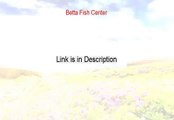 Betta Fish Center Reviews (how to make betta fish centerpieces)