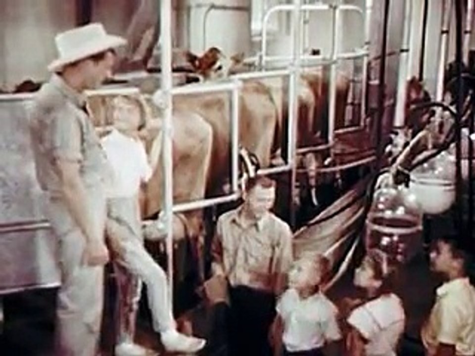 Uncle Jim's Dairy Farm 1963