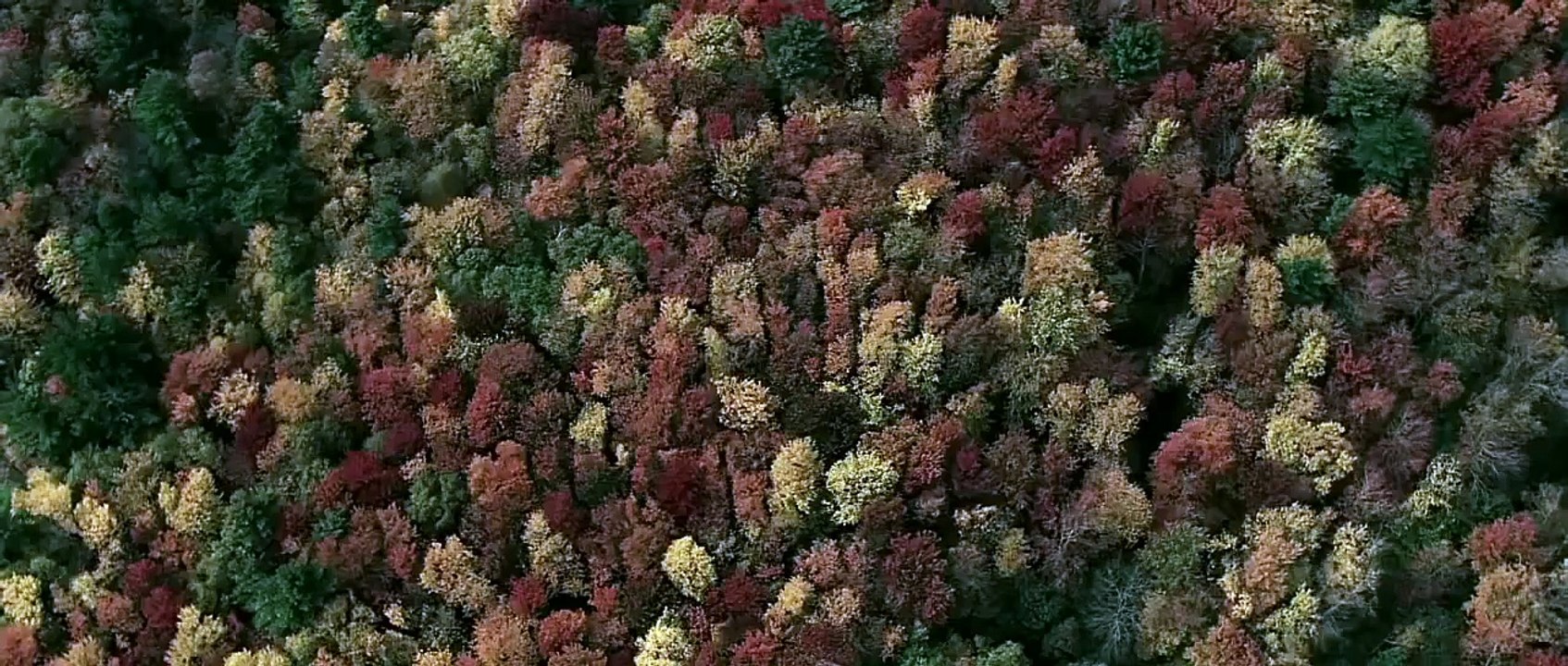 Backcountry 2014 Official Trailer