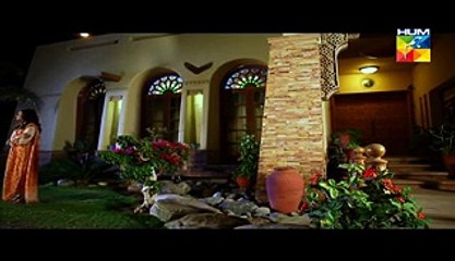 Zindagi Tum Ho Episode 14 Full on Hum Tv - March 20