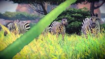 CABELA'S AFRICAN ADVENTURES Trailer (PS4)