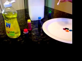 6th Grade Science Project