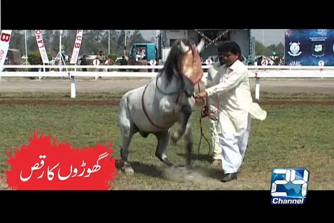 Dancing Horses 23rd March Azm-e-Pakistan Parade