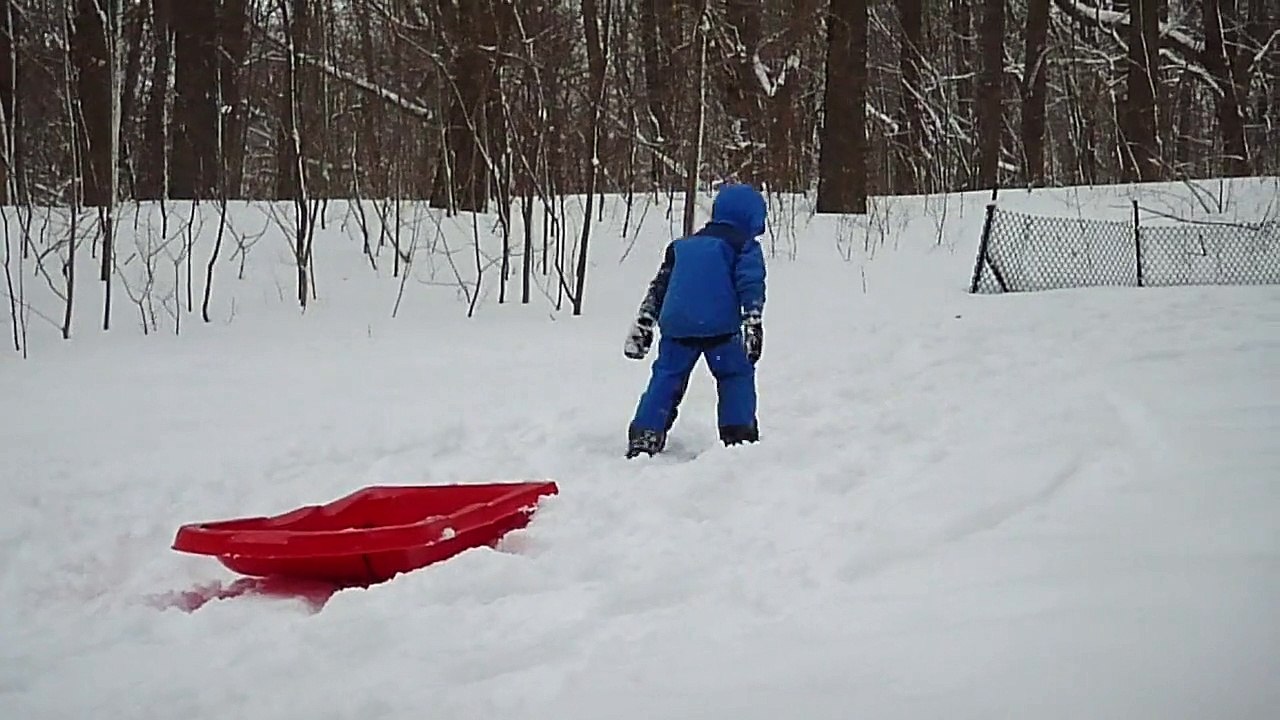 Luge / skate