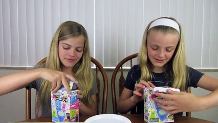 Japanese Toilet Candy Kit ~ Jacy and Kacy