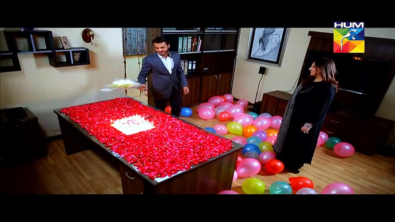 Sartaj Mera Tu Raaj Mera Episode 11 Full HUM TV Drama Mar 11,2015