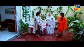Sartaj Mera Tu Raaj Mera Episode 14 Full HUM TV Drama Mar 17,2015