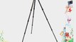Gitzo Series 4 Systematic 4 Section Long Tripod GT4542LS