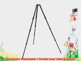 Gitzo Series 4 Systematic 4 Section Long Tripod GT4542LS