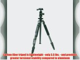 Dolica ZX600B103 Professional 60-Inch ZX Series Carbon Fiber Tripod with Ball Head and Carry