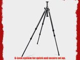Gitzo GT2531LVL Series 2 6X Carbon Fiber 3-Section Leveling Tripod with G-Lcok - Replaces GT2530LVL