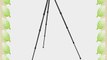 Gitzo Series 2 Systematic 4 Section Long Tripod GT2542LS