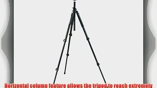 Manfrotto Pro 055XPROB Tripod (Black) Outfit with 808RC4 HD Pan Tilt Head
