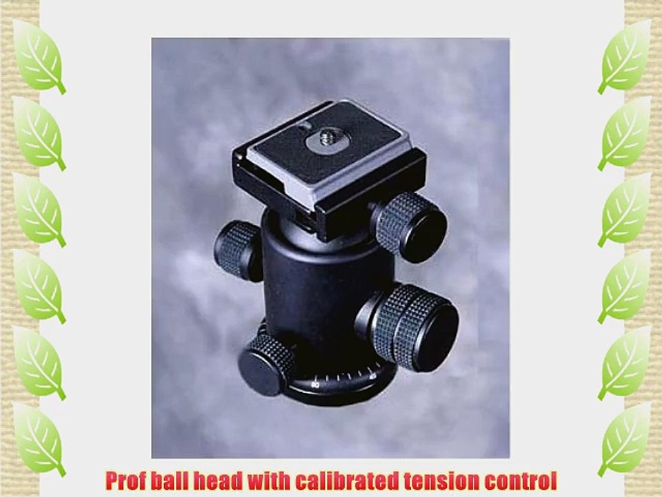DMKFoto Fancier 6664 PRO Action Fluid Drag Ball Head