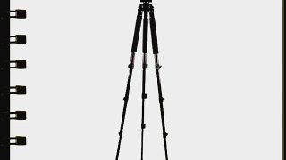 Vivitar VIV-MPT-600-BLK Magnesium Series Pro Tripod (Black)