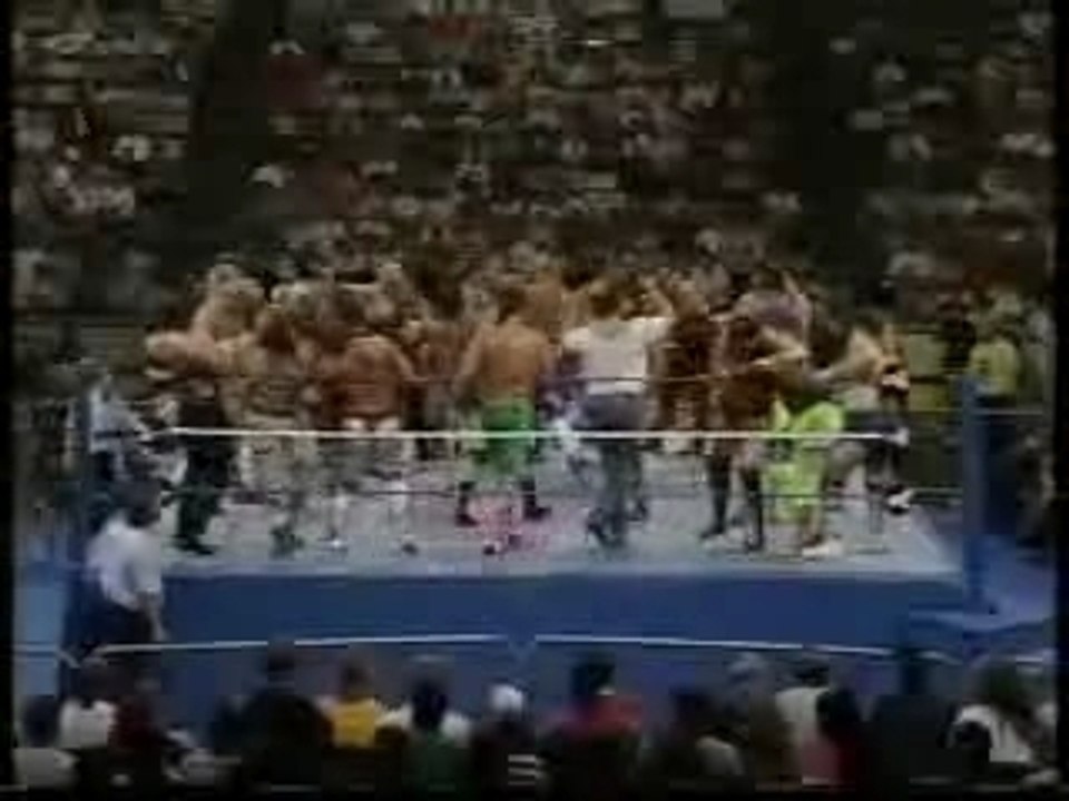1992-battle royal-wwf