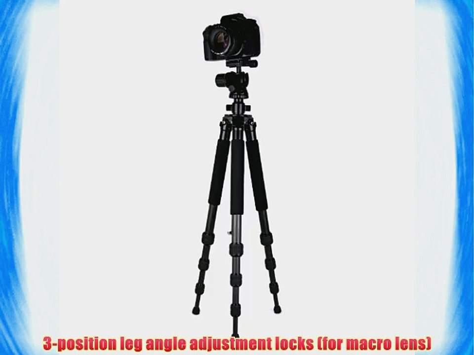 Dolica ZX600B300 Proline ZX Series 60-Inch Carbon Fiber Tripod with Ball Head