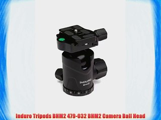 Induro Tripods BHM2 479-032 BHM2 Camera Ball Head