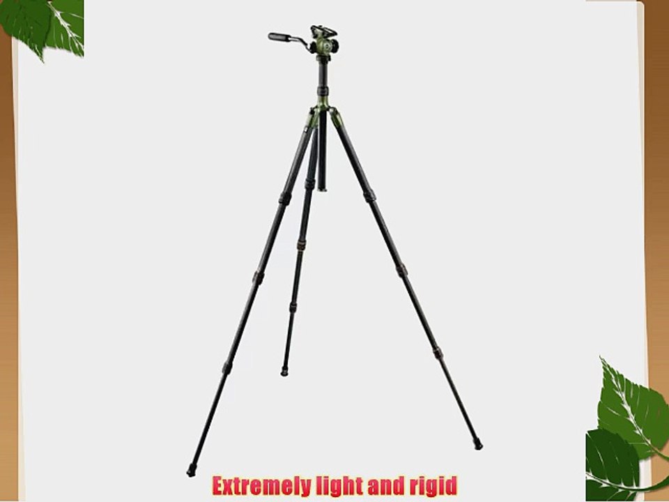 Gitzo Safari Collection Series 2 Kit with 2-Way Fluid Head with Quick Release (GK2520FT)