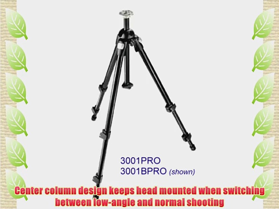 Manfrotto 3001BPRO Professional Tripod without Head (Black)