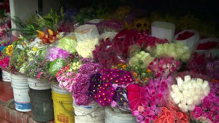 ¿Por qué son tan felices los colombianos?