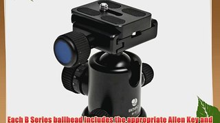 BENRO B SERIES Ballhead B-0