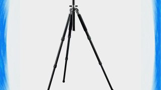 Gitzo GT3330 Series 3 Aluminum 3 Section Tripod with G-Lock