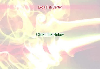 Betta Fish Center Download Free [Download Now]