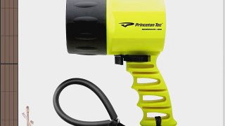 Princeton Tec Miniwave LED Divinglamp (Neon Yellow)